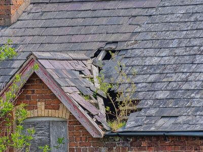 Professional water damage restoration services in South Gate - Pinnlyra Arch